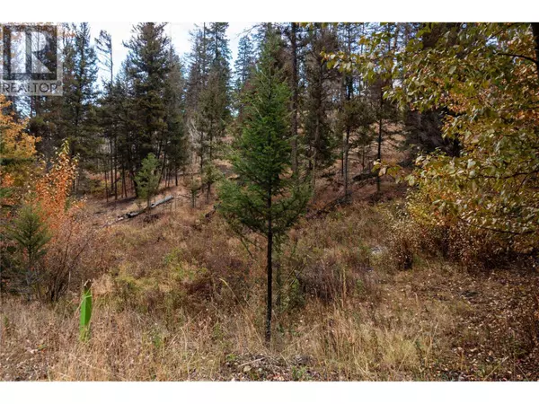 339 POPLAR Drive, Logan Lake, BC V0K1W0