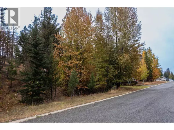 339 POPLAR Drive, Logan Lake, BC V0K1W0