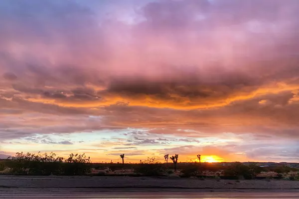 Living in the High Desert: Community, Coffee, and Connection | Amato Agents Homes