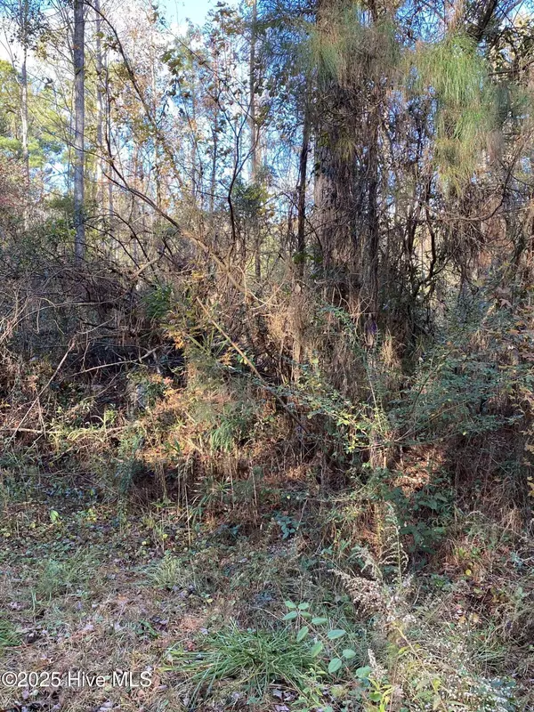 257 Wards LN, Havelock, NC 28532