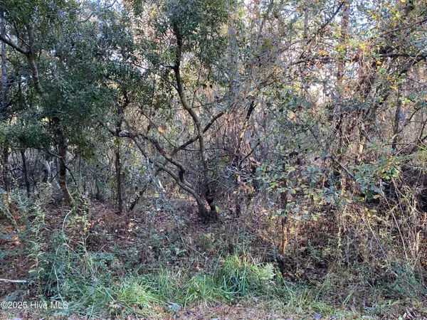 257 Wards LN, Havelock, NC 28532