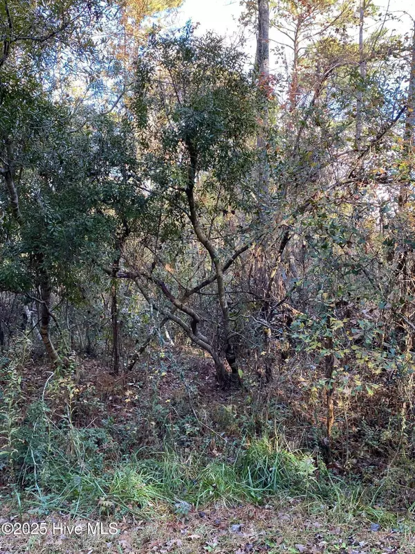 257 Wards LN, Havelock, NC 28532