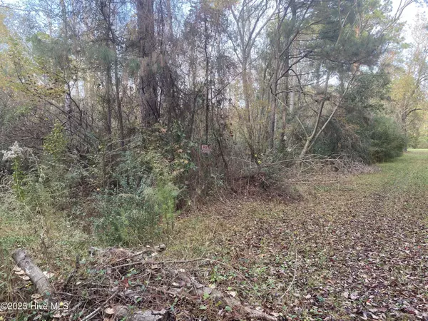 257 Wards LN, Havelock, NC 28532