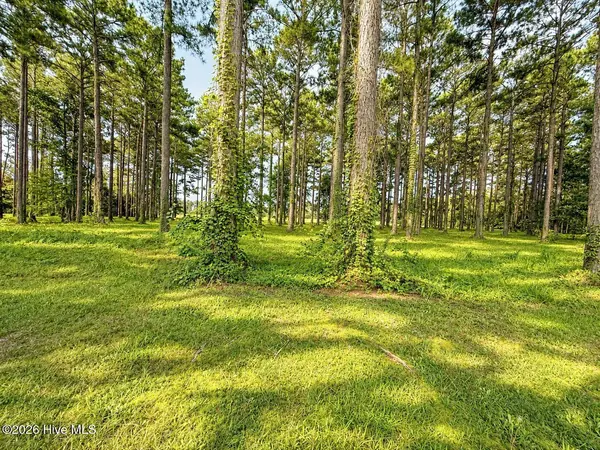 159 Frying Pan, Oriental, NC 28571