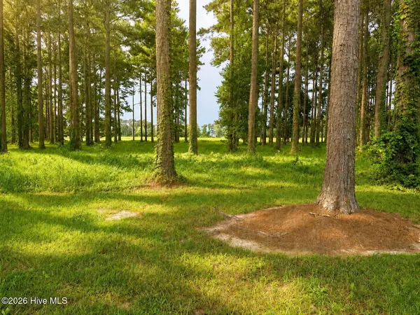 159 Frying Pan, Oriental, NC 28571