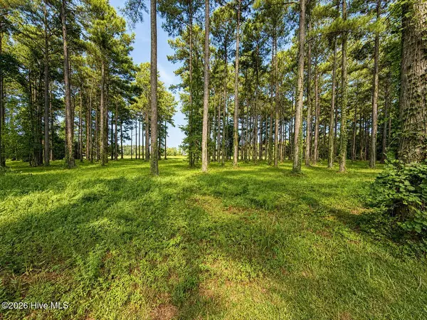 159 Frying Pan, Oriental, NC 28571