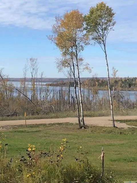 520 Diamond Willow DRIVE, Goodsoil, SK S0M 1A0