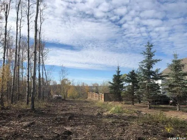 520 Diamond Willow DRIVE, Goodsoil, SK S0M 1A0