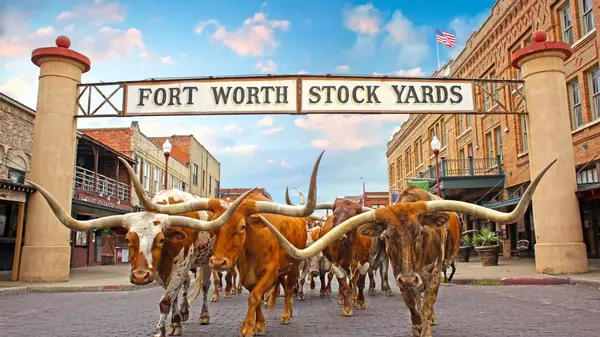 1 HERO_Herd_Stockyards_Sign_HDR_Web72DPI