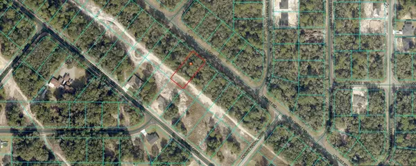 00 LOCUST RD, Ocala, FL 34472