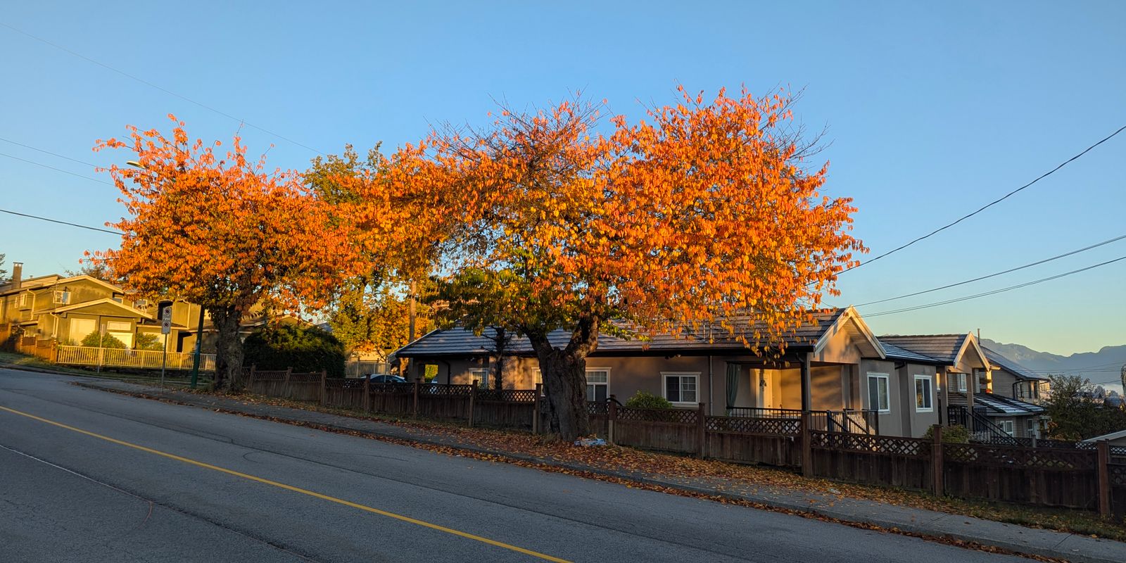 A tree-lined suburban New Jersey street in autumn