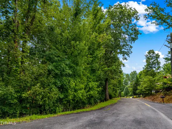 648 Lakeview DR, Mooresburg, TN 37811