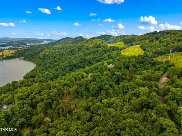 648 Lakeview DR, Mooresburg, TN 37811