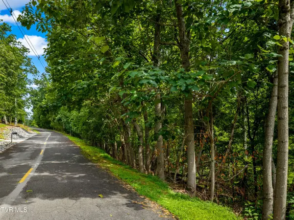 648 Lakeview DR, Mooresburg, TN 37811