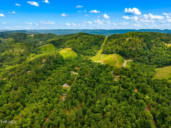 648 Lakeview DR, Mooresburg, TN 37811