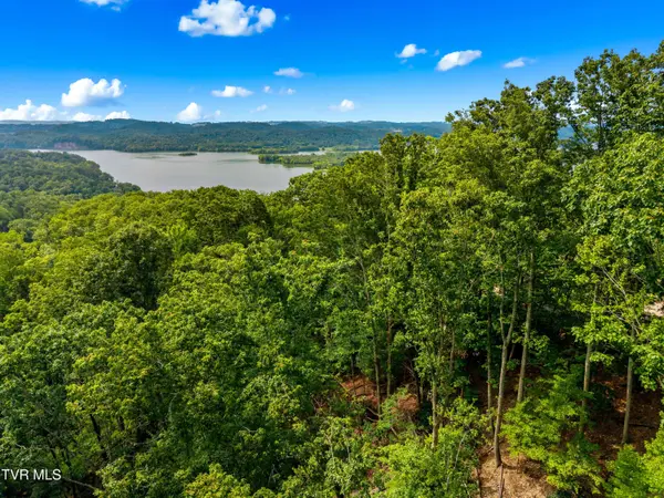 648 Lakeview DR, Mooresburg, TN 37811