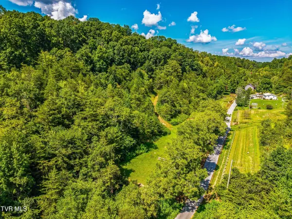Lot 1 Bear Paw Ln, Rogersville, TN 37857