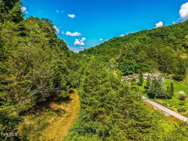 Lot 2 Bear Paw Ln, Rogersville, TN 37857