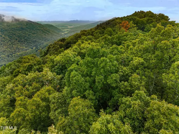 1775 Snake Hollow Road RD, Sneedville, TN 37869