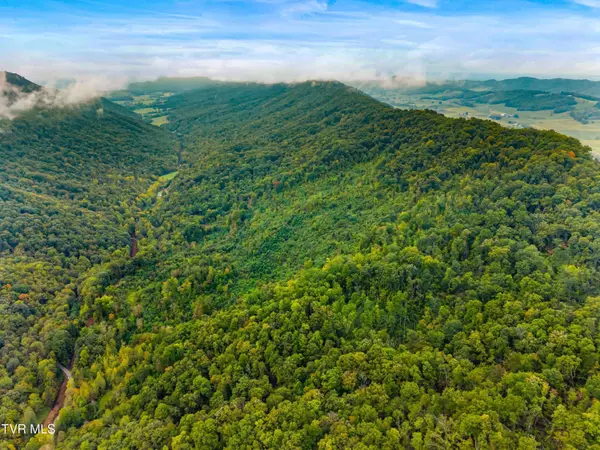 1775 Snake Hollow Road RD, Sneedville, TN 37869