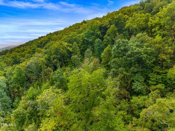 1775 Snake Hollow Road RD, Sneedville, TN 37869