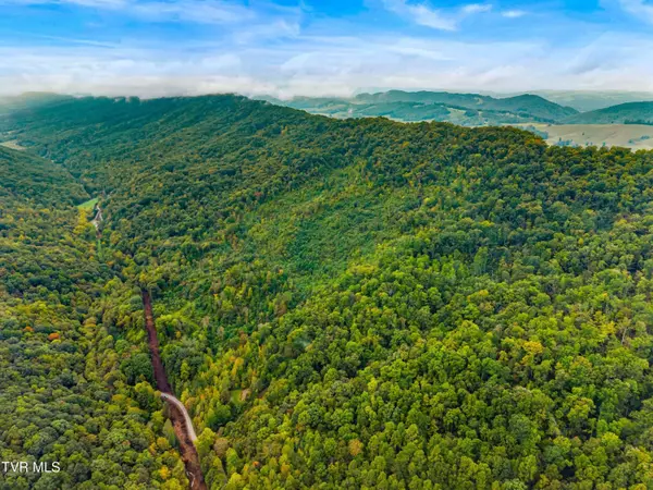 1775 Snake Hollow Road RD, Sneedville, TN 37869