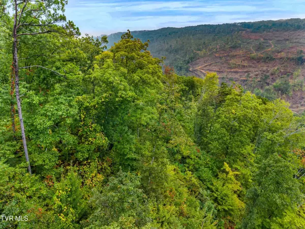 1775 Snake Hollow Road RD, Sneedville, TN 37869