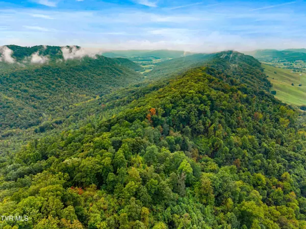 1775 Snake Hollow Road RD, Sneedville, TN 37869