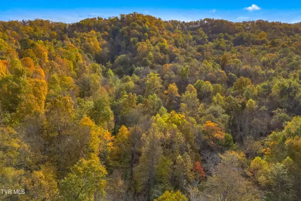 853 Twin Ponds LN, Thorn Hill, TN 37881