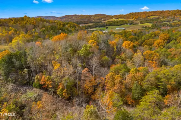 853 Twin Ponds LN, Thorn Hill, TN 37881