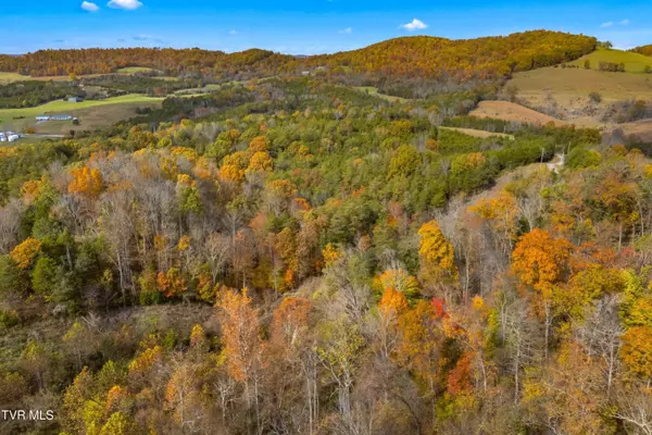 853 Twin Ponds LN, Thorn Hill, TN 37881