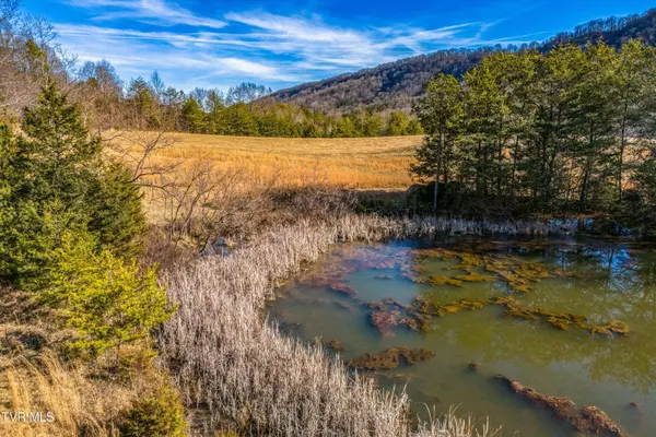 Tbd Butcher Valley Rd, Rogersville, TN 37857