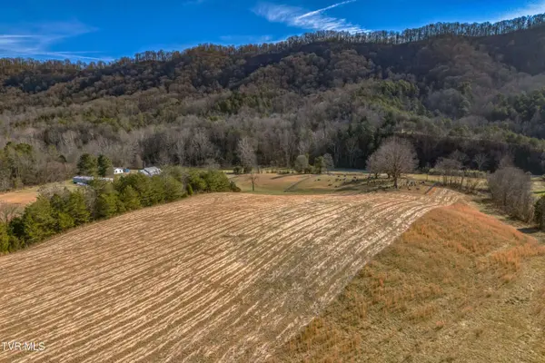 Tbd Butcher Valley Rd, Rogersville, TN 37857