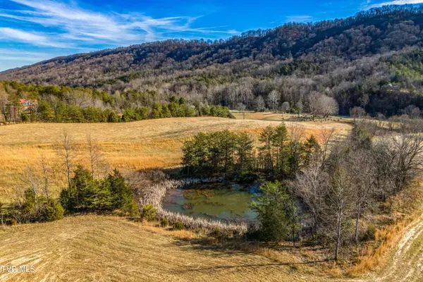Tbd Butcher Valley Rd, Rogersville, TN 37857