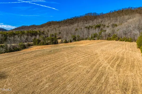 Tbd Butcher Valley Rd, Rogersville, TN 37857