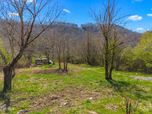 290 Cave Springs RD, Rogersville, TN 37857