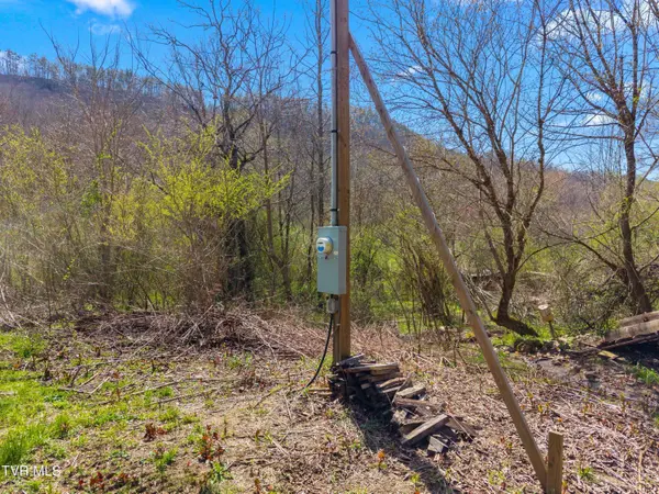 290 Cave Springs RD, Rogersville, TN 37857