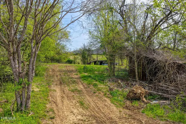 Tbd Webster Valley RD, Rogersville, TN 37857