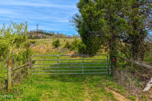 Tbd Webster Valley RD, Rogersville, TN 37857