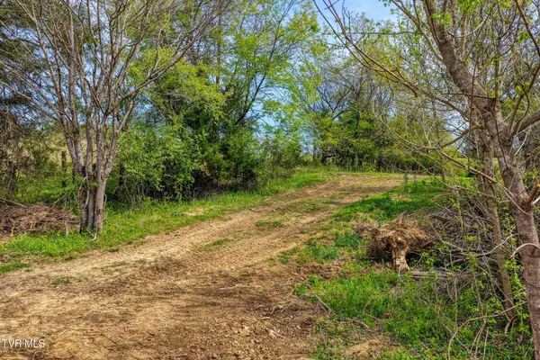 Tbd Webster Valley RD, Rogersville, TN 37857