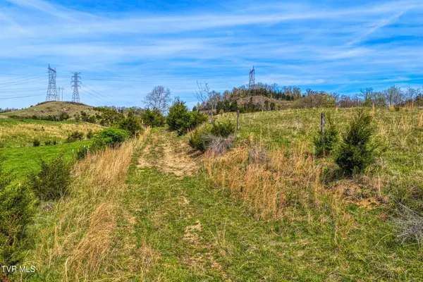 Tbd Webster Valley RD, Rogersville, TN 37857