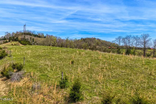 Tbd Webster Valley RD, Rogersville, TN 37857