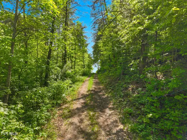 1243 Brandon Hollow LN, Bulls Gap, TN 37711