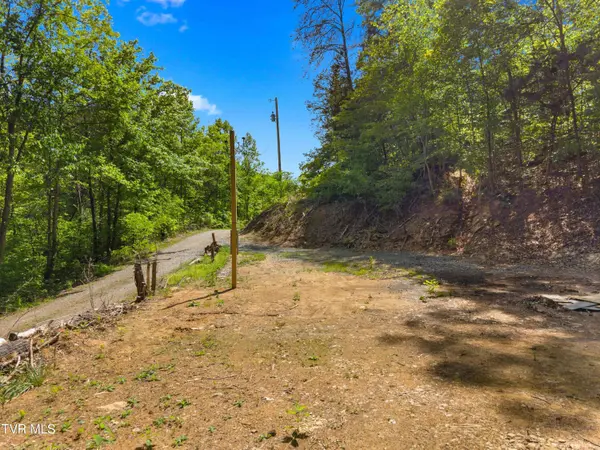 1243 Brandon Hollow LN, Bulls Gap, TN 37711