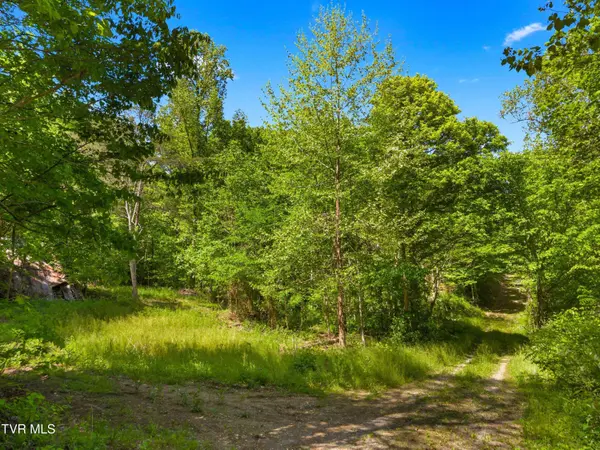 1243 Brandon Hollow LN, Bulls Gap, TN 37711