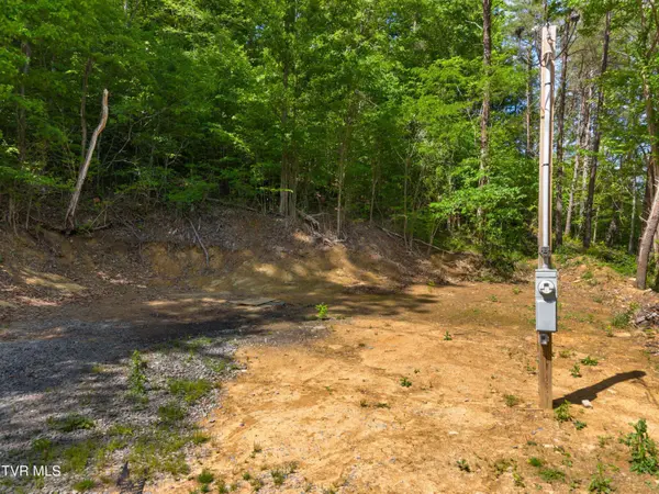 1243 Brandon Hollow LN, Bulls Gap, TN 37711