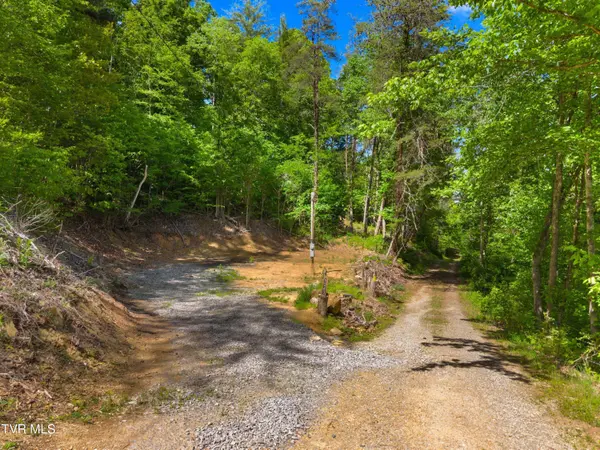 1243 Brandon Hollow LN, Bulls Gap, TN 37711