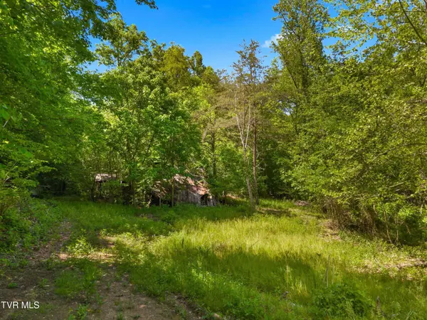 1243 Brandon Hollow LN, Bulls Gap, TN 37711