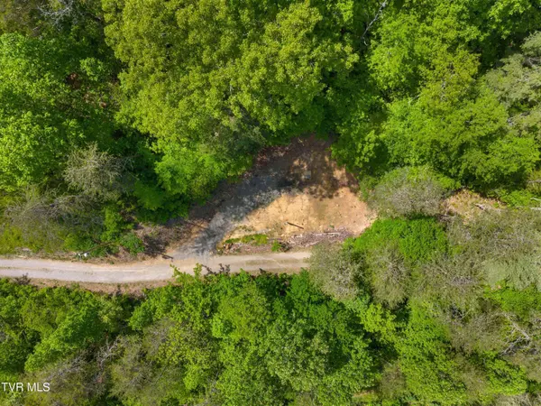 1243 Brandon Hollow LN, Bulls Gap, TN 37711