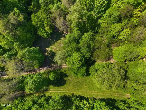 1243 Brandon Hollow LN, Bulls Gap, TN 37711